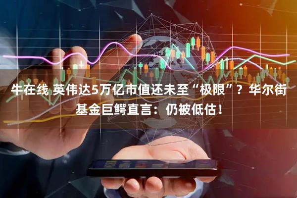牛在线 英伟达5万亿市值还未至“极限”？华尔街基金巨鳄直言：仍被低估！