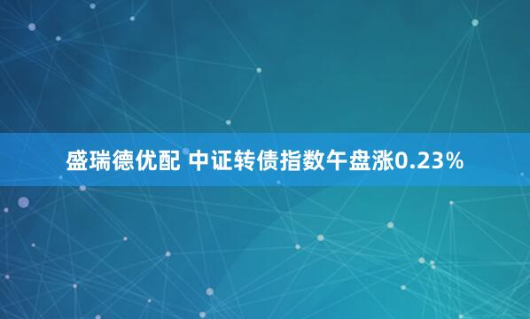 盛瑞德优配 中证转债指数午盘涨0.23%
