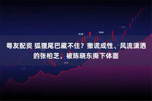 粤友配资 狐狸尾巴藏不住?撒谎成性、风流潇洒的张柏芝,被陈晓东撕下体面